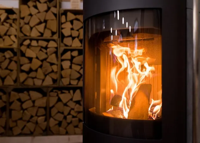 Daire Burgkaiser Goslar